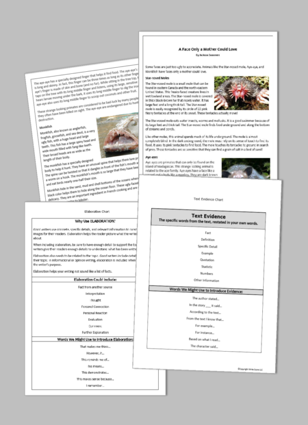 Writing Lesson Plans – Write Score